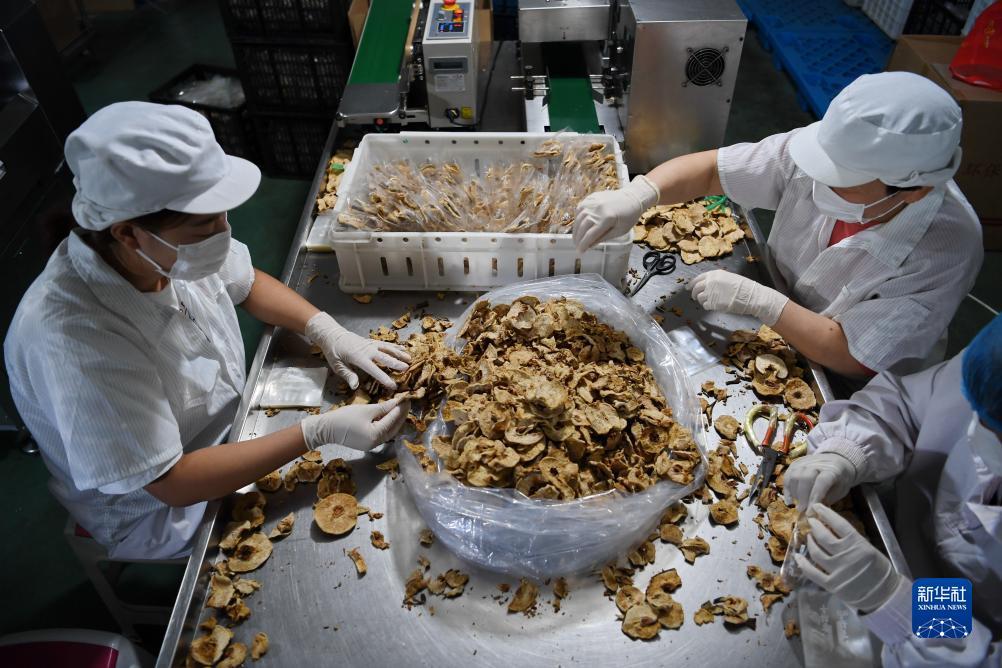 帮我申请彩金